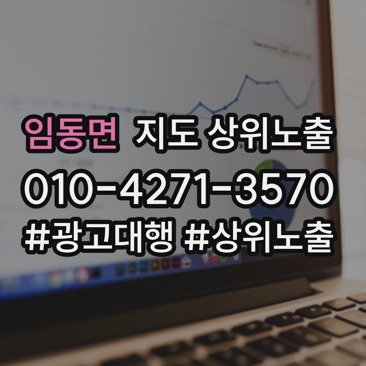 임동면 지도 상위 노출