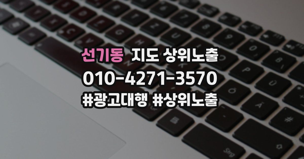 선기동 지도 상위 노출