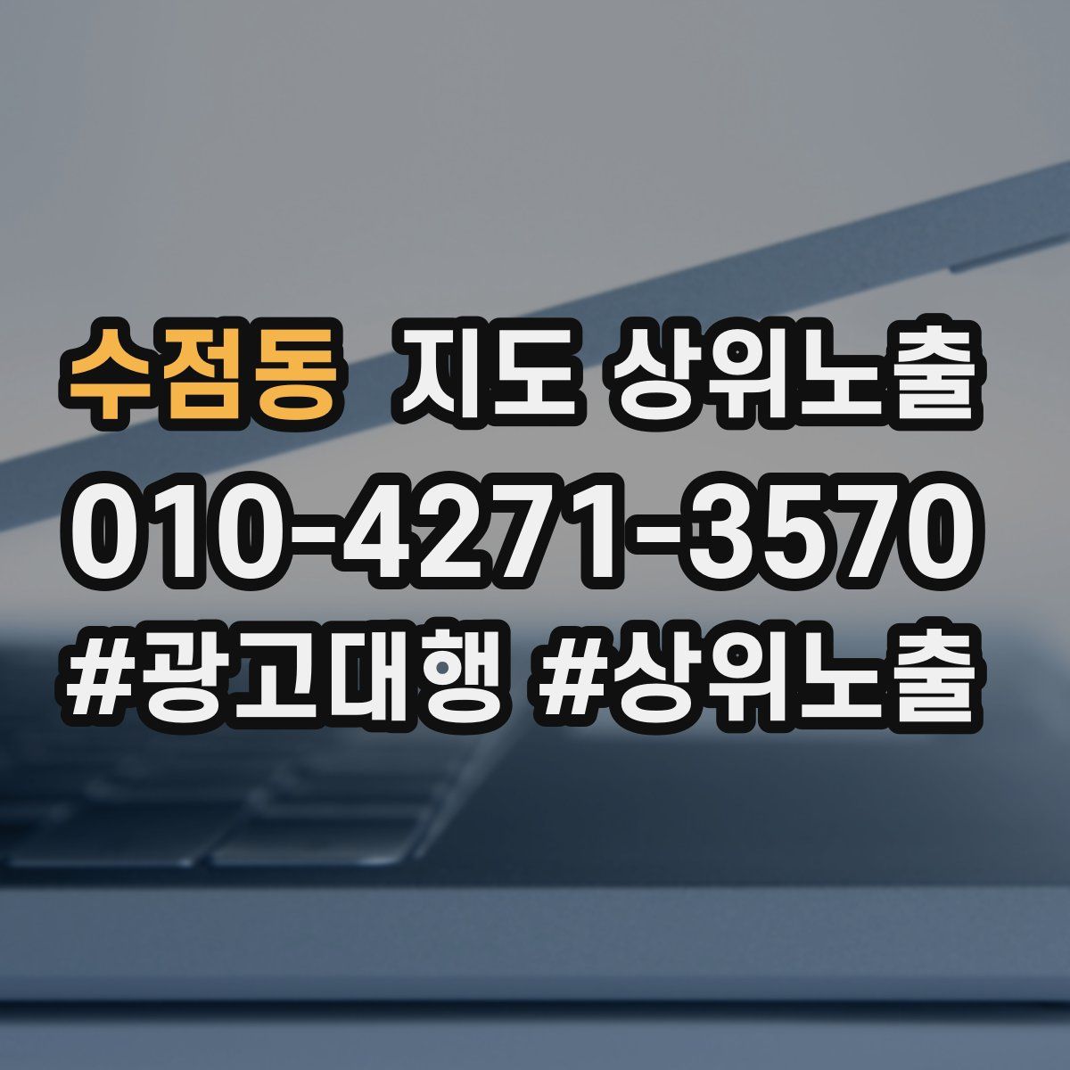 수점동 지도 상위 노출