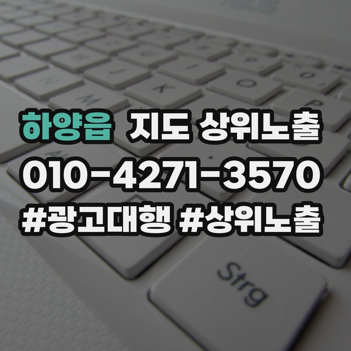 하양읍 지도 상위 노출