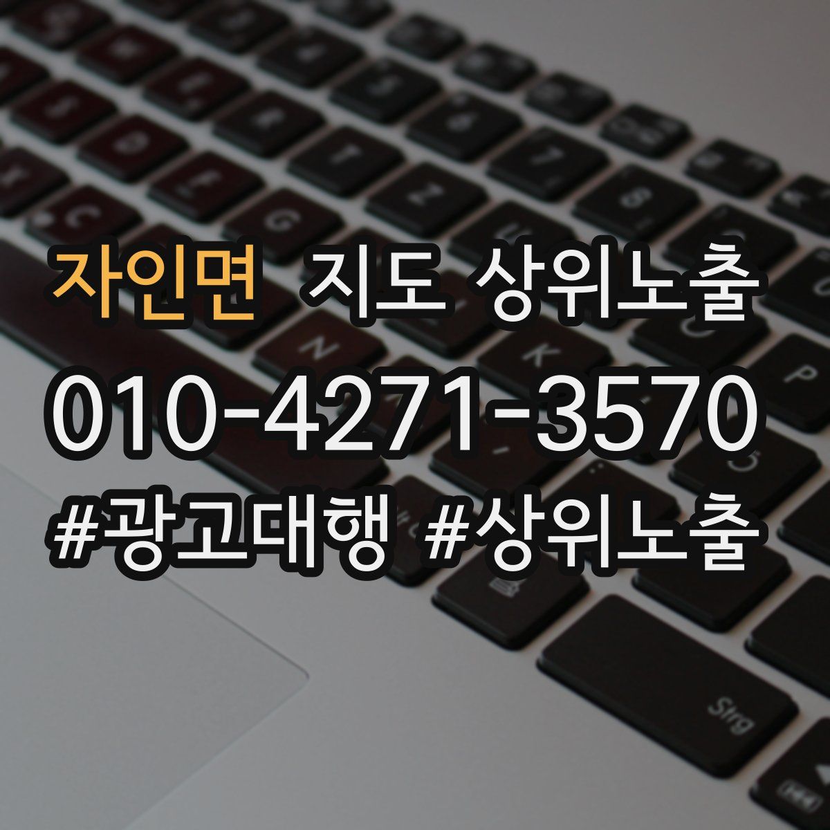 자인면 지도 상위 노출