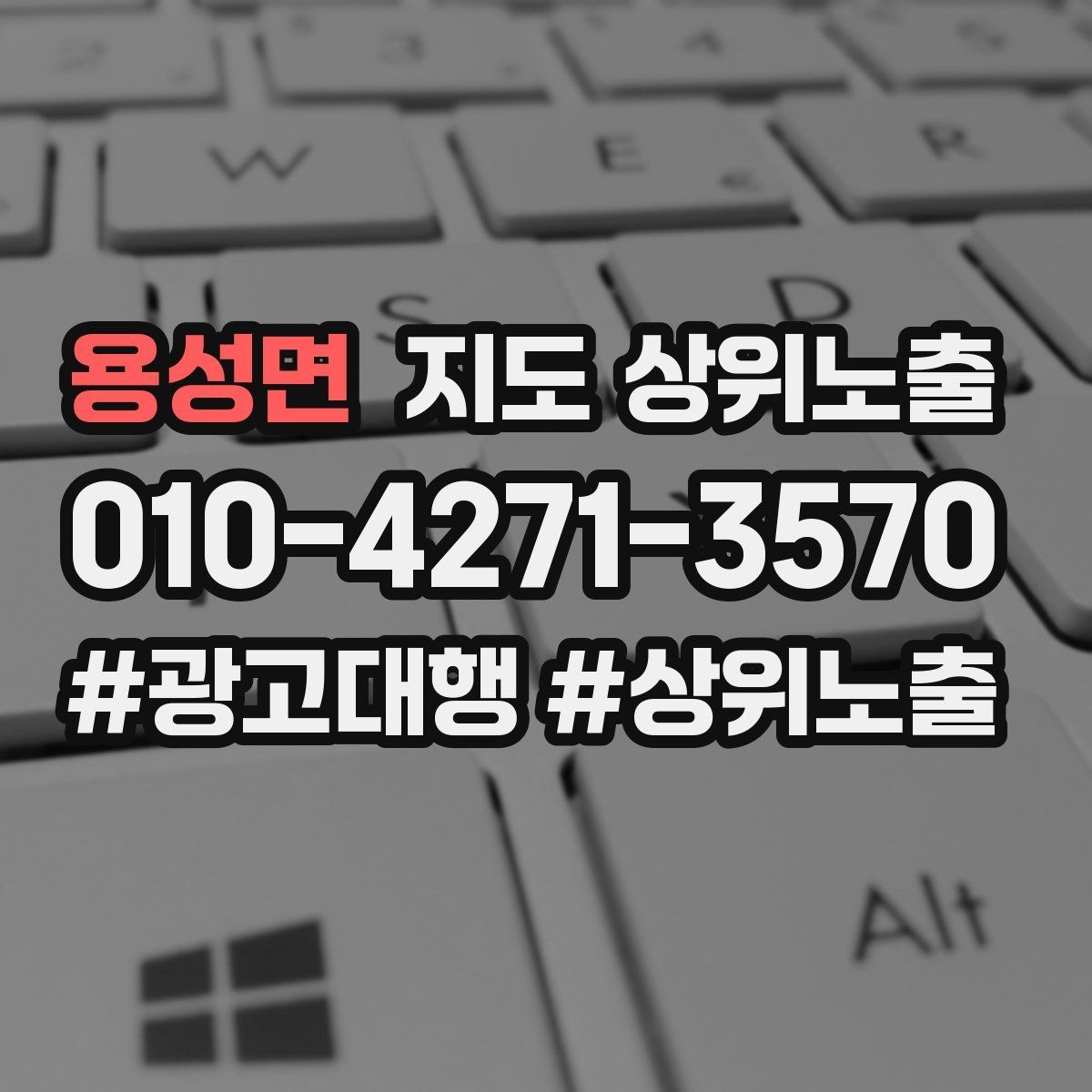 용성면 지도 상위노출 테스트확대 순서로 안정적으로 키우기
