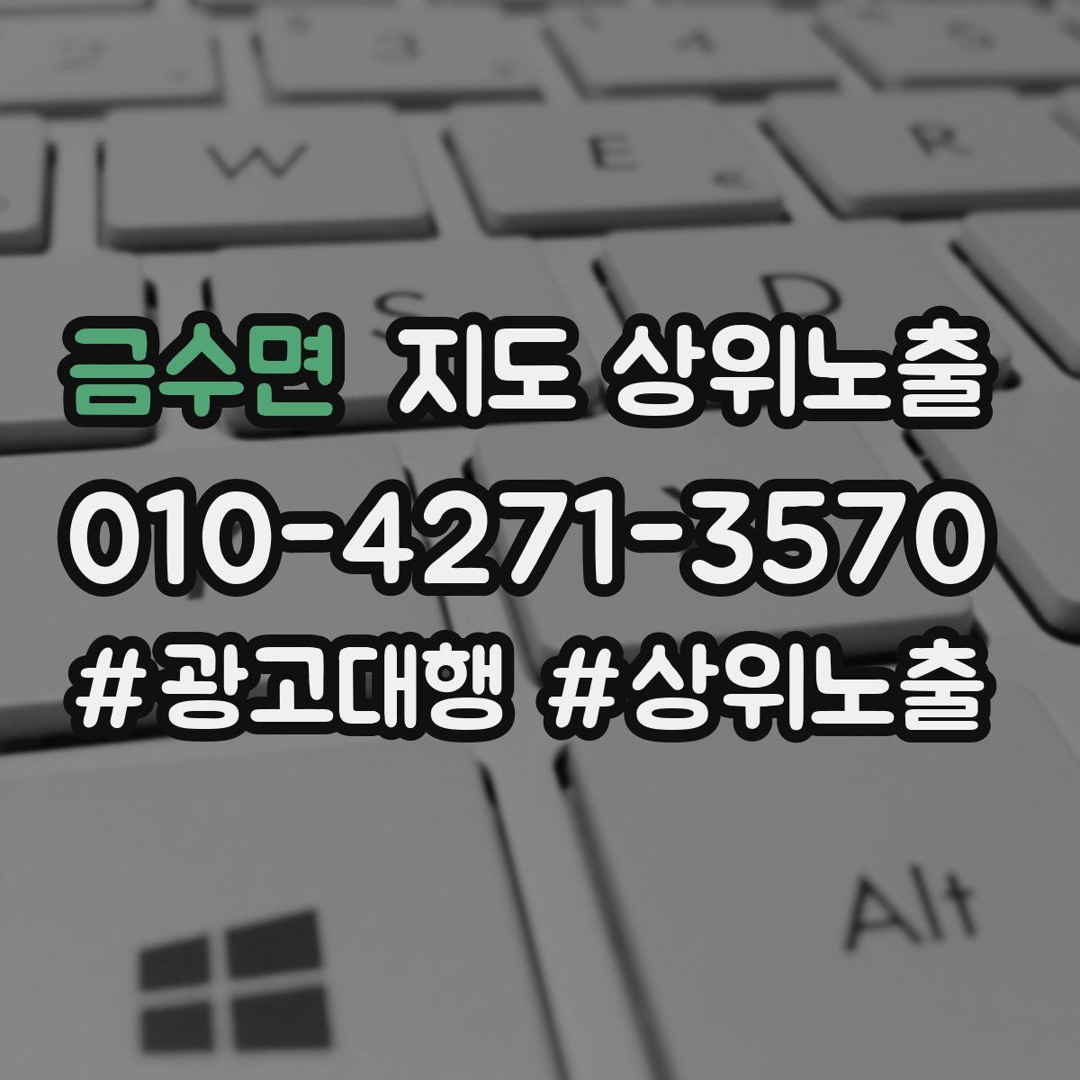 금수면 지도 상위 노출