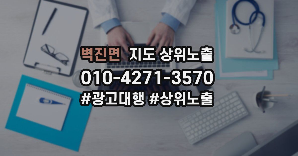 벽진면 지도 상위 노출