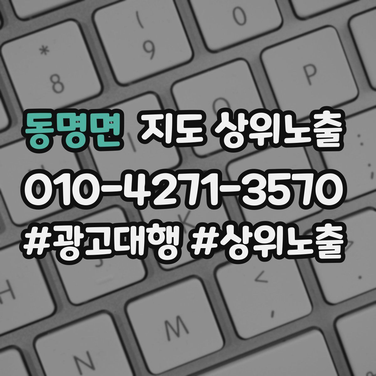 동명면 지도 상위 노출