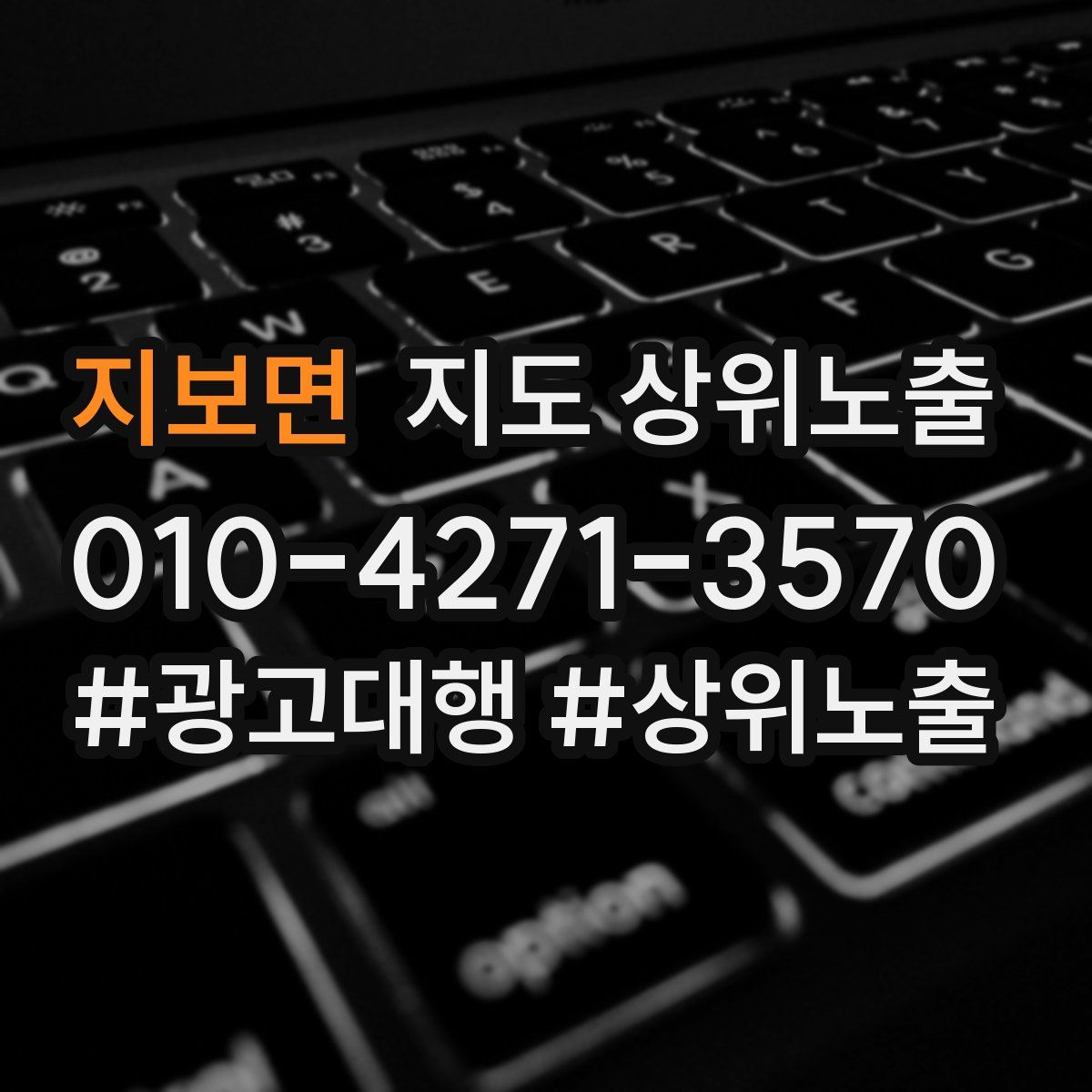 지보면 지도 상위 노출