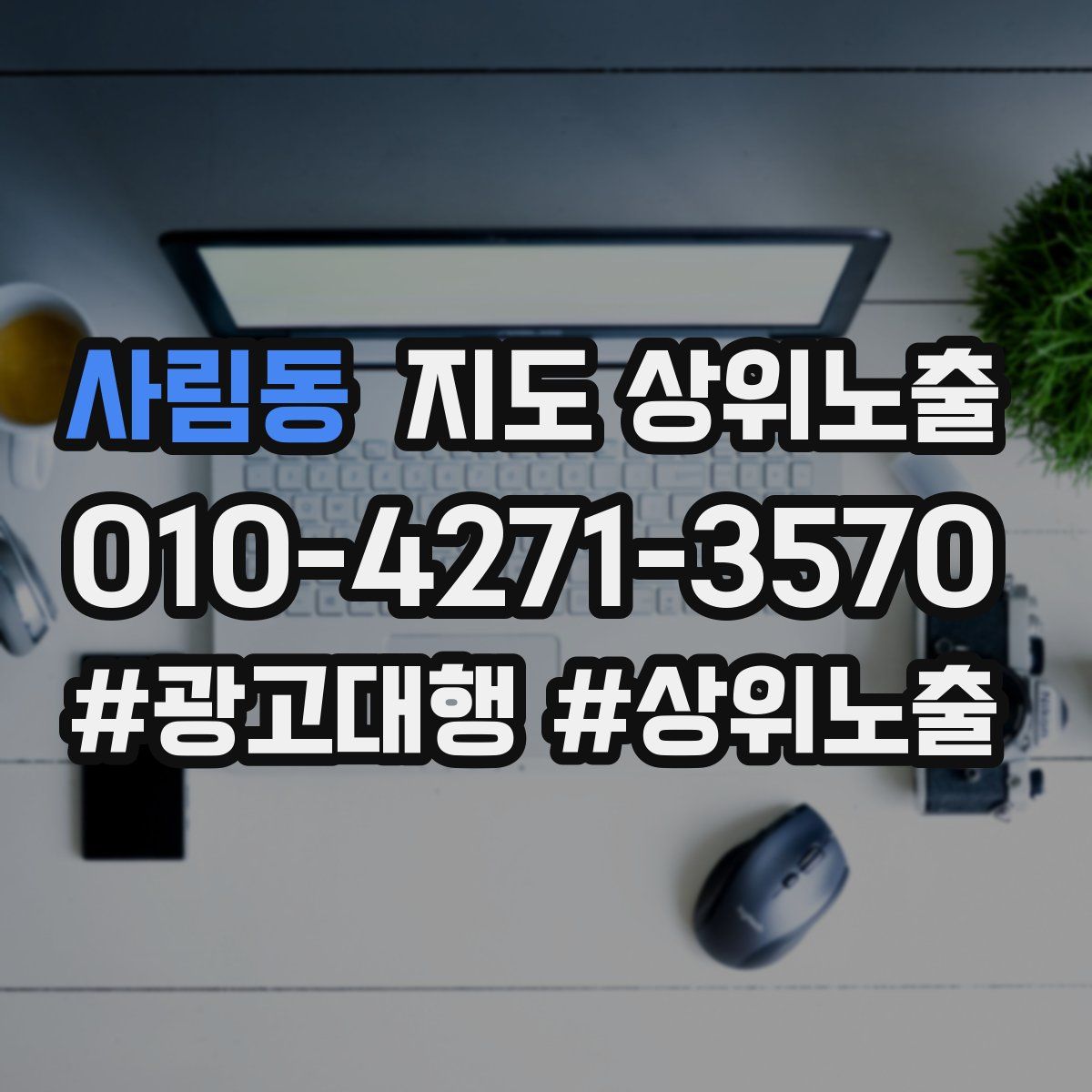 사림동 지도 상위 노출