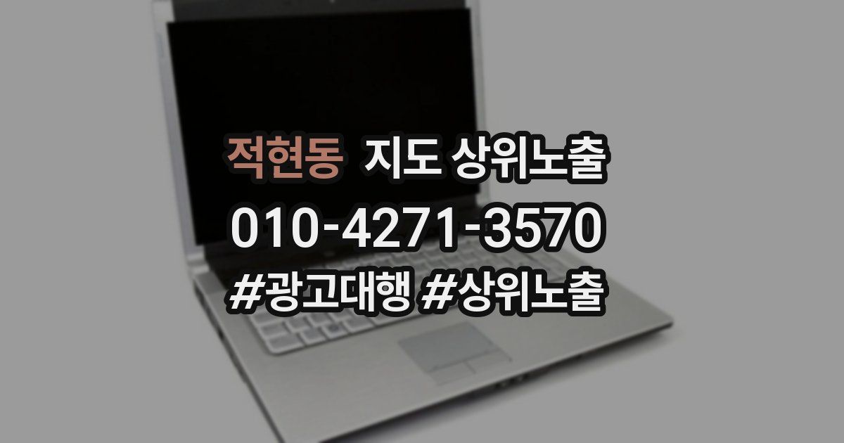 적현동 지도 상위 노출