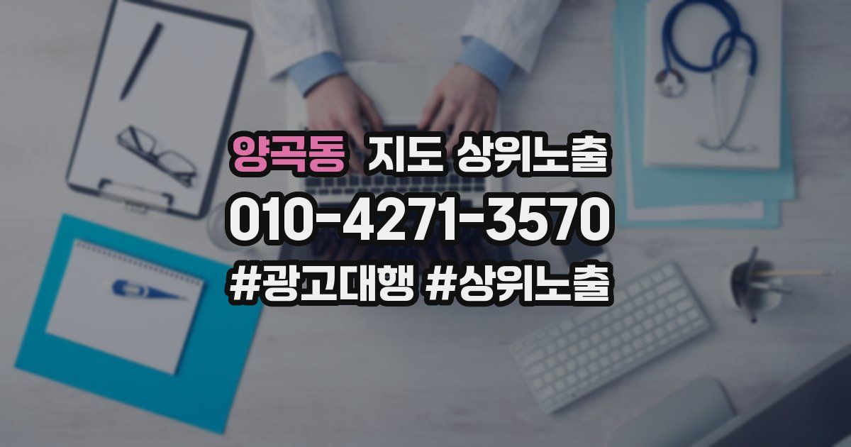 양곡동 지도 상위 노출