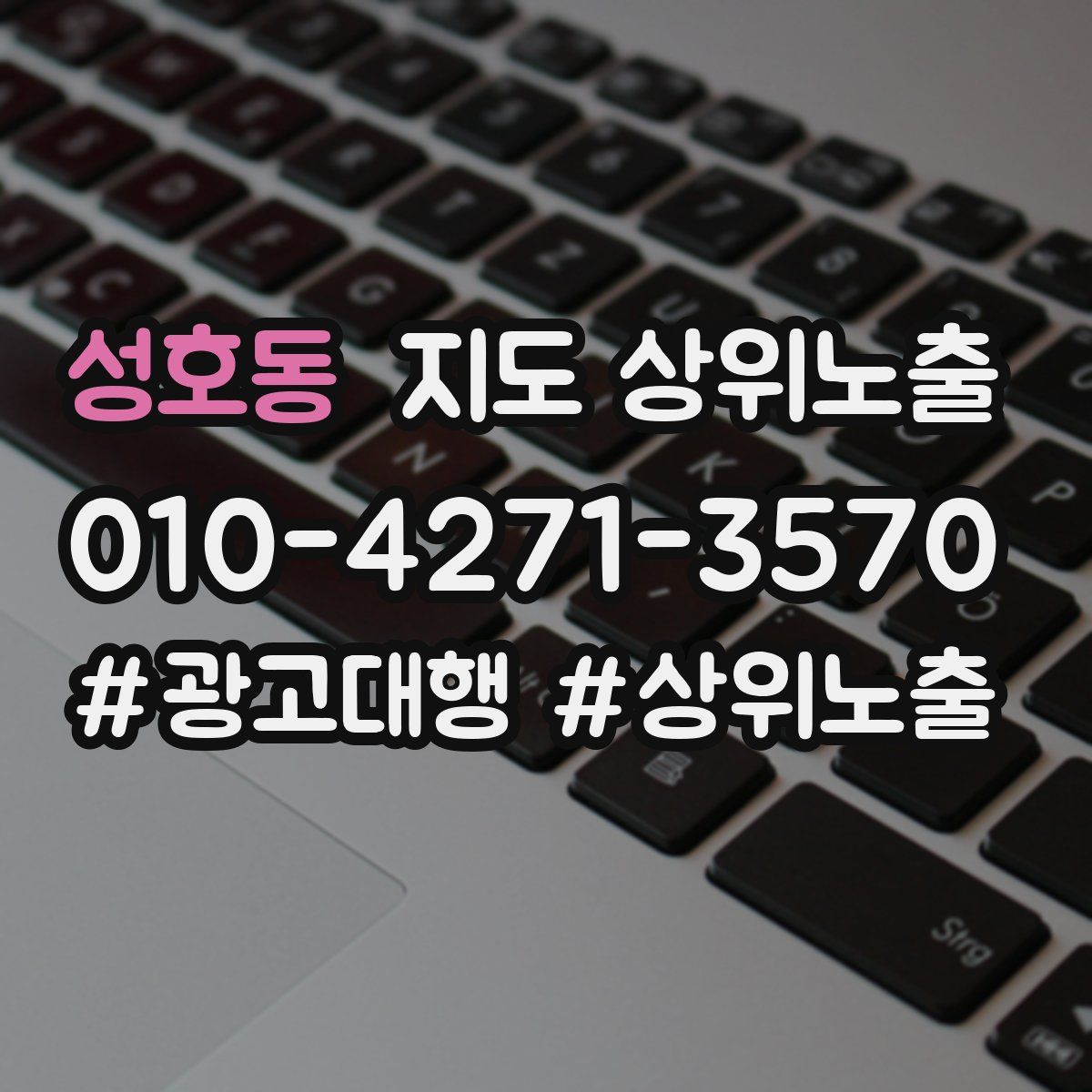 성호동 지도 상위 노출