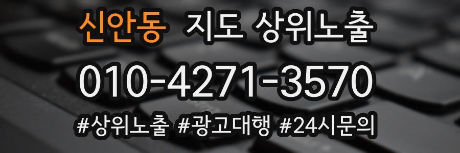 신안동 지도 상위 노출