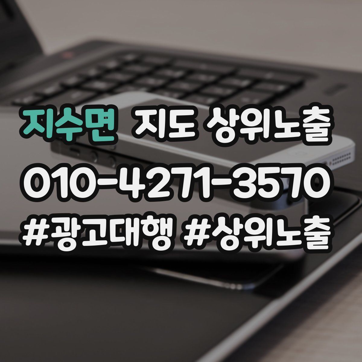 지수면 지도 상위 노출