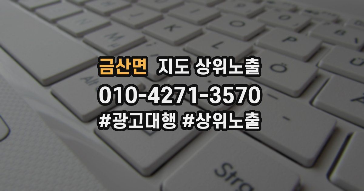 금산면 지도 상위 노출