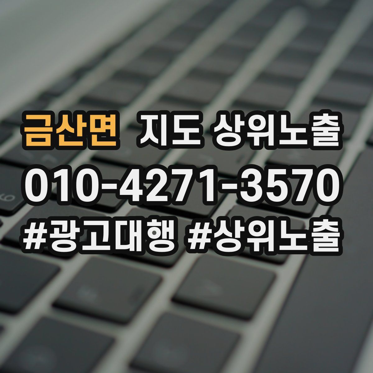 금산면 지도 상위 노출