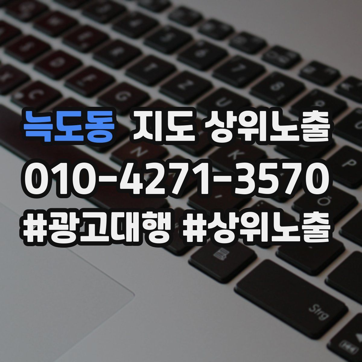 늑도동 지도 상위 노출