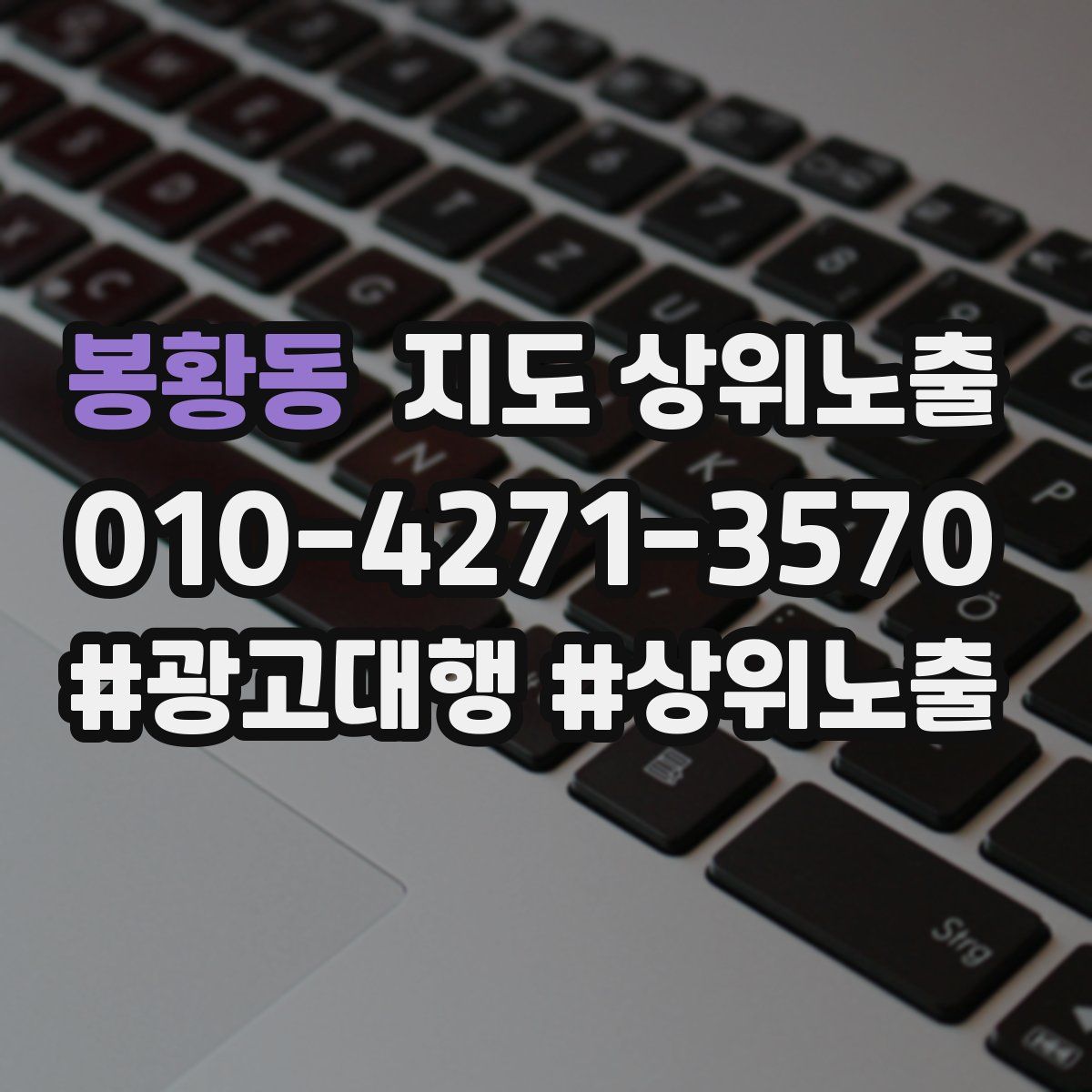 봉황동 지도 상위 노출
