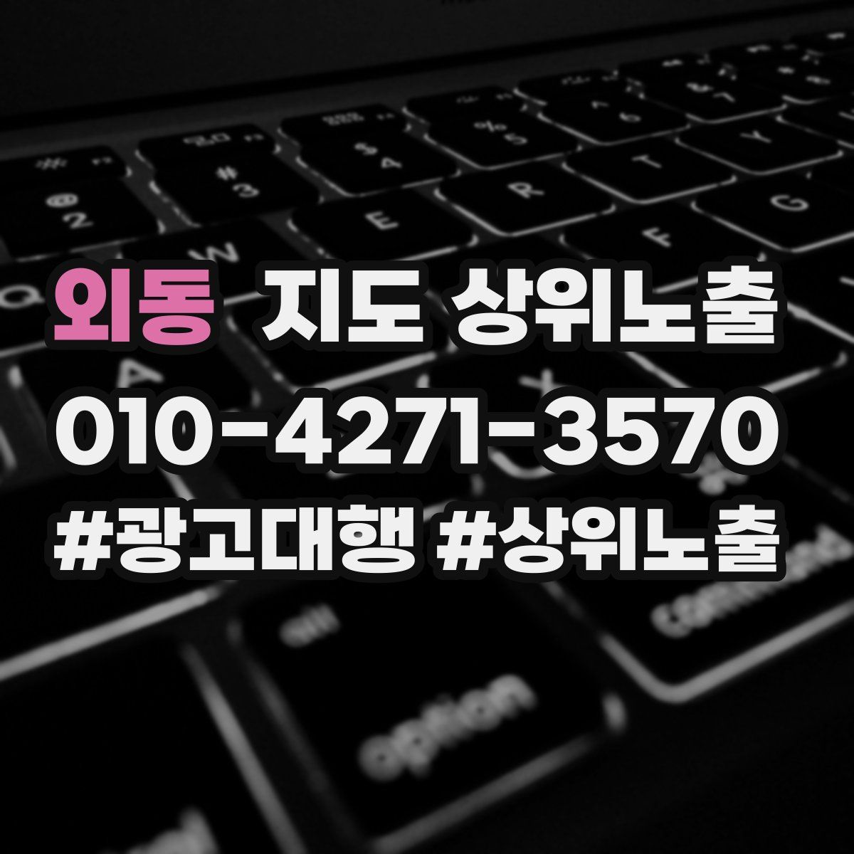 외동 지도 상위 노출