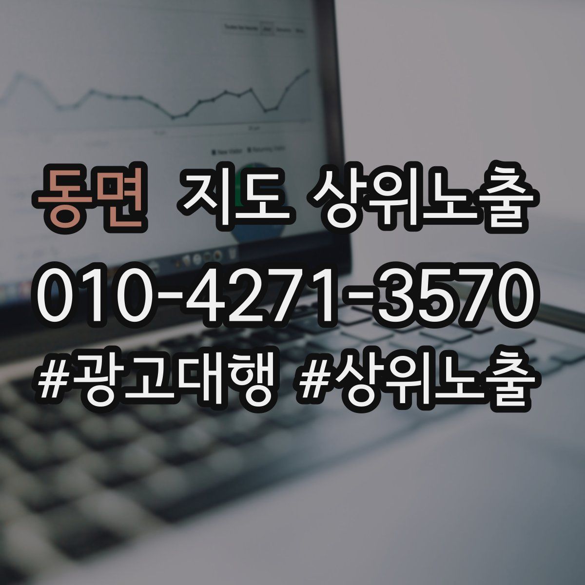 동면 지도 상위 노출