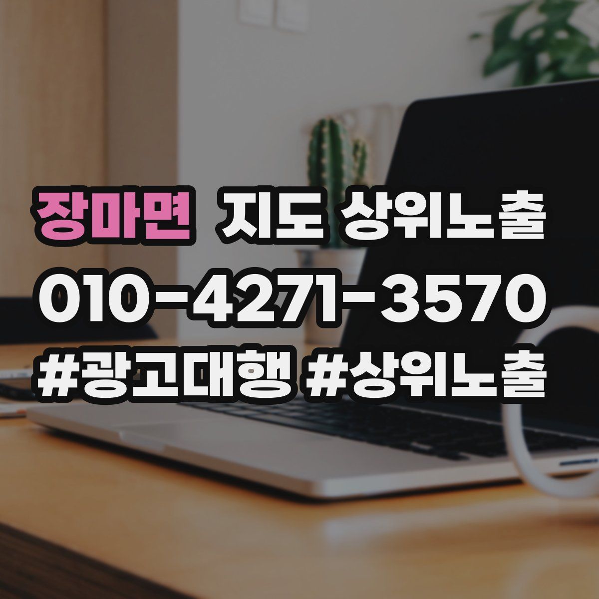 장마면 지도 상위 노출
