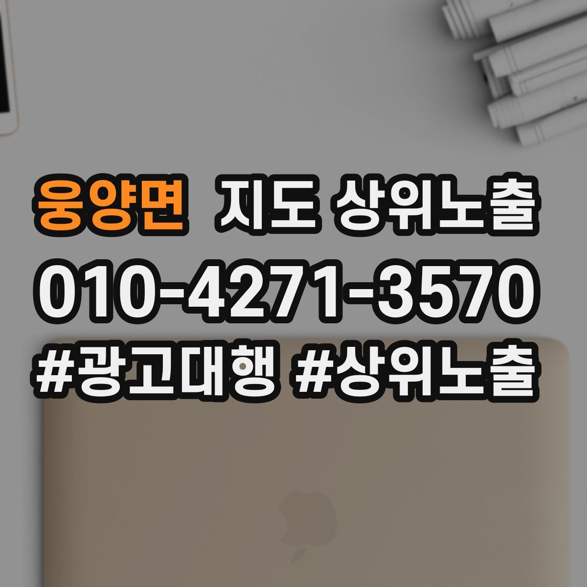 웅양면 지도 상위 노출