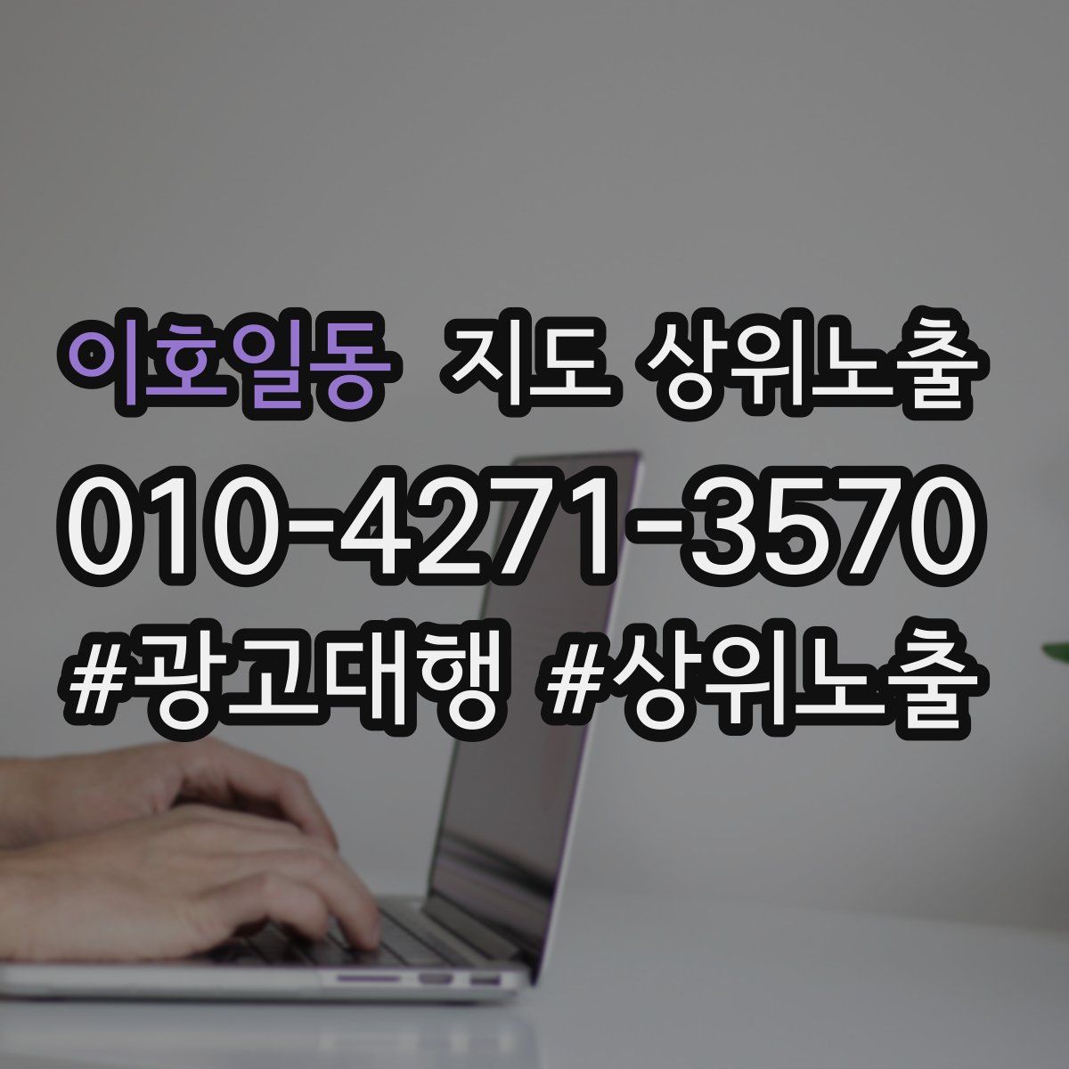 이호일동 지도 상위 노출