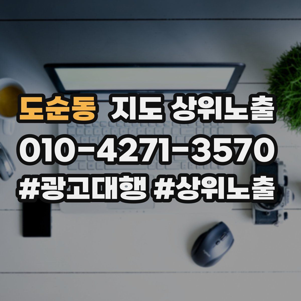 도순동 지도 상위 노출