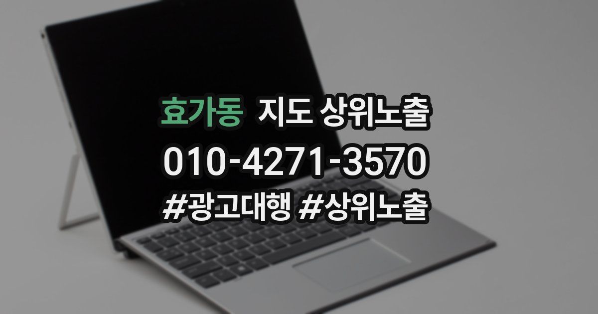 효가동 지도 상위 노출