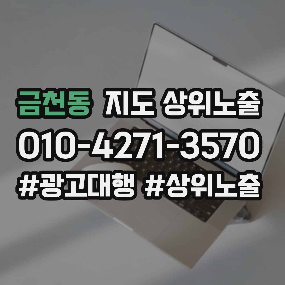 금천동 지도 상위 노출