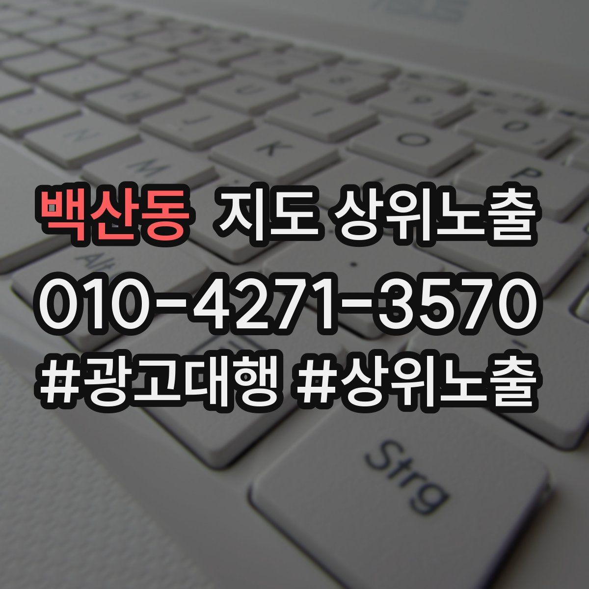 백산동 지도 상위 노출