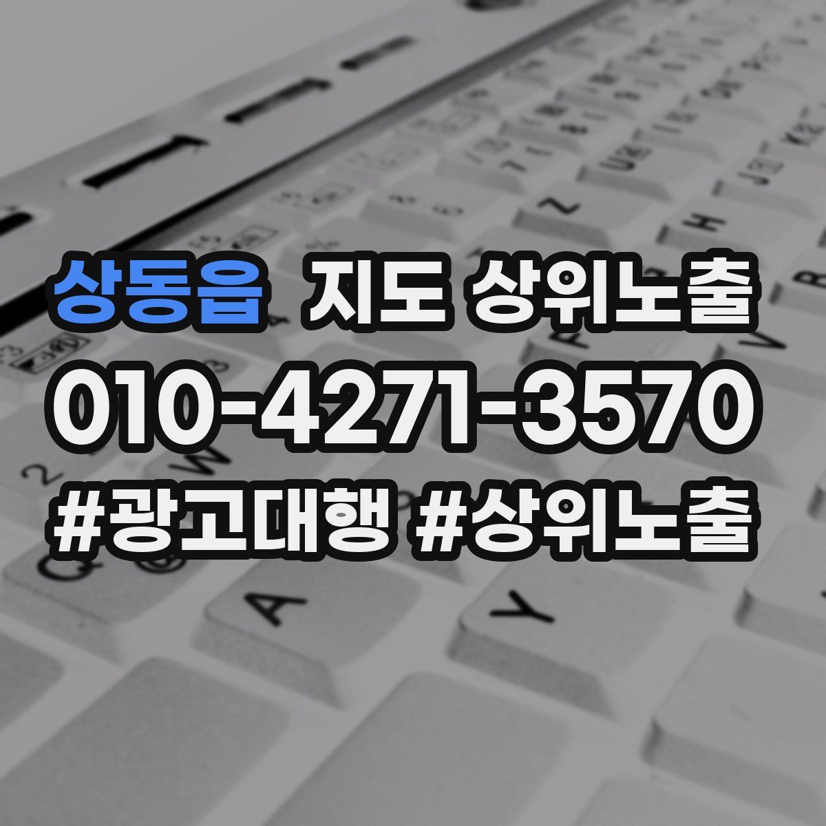 상동읍 지도 상위 노출