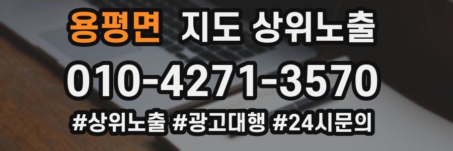 용평면 지도 상위 노출