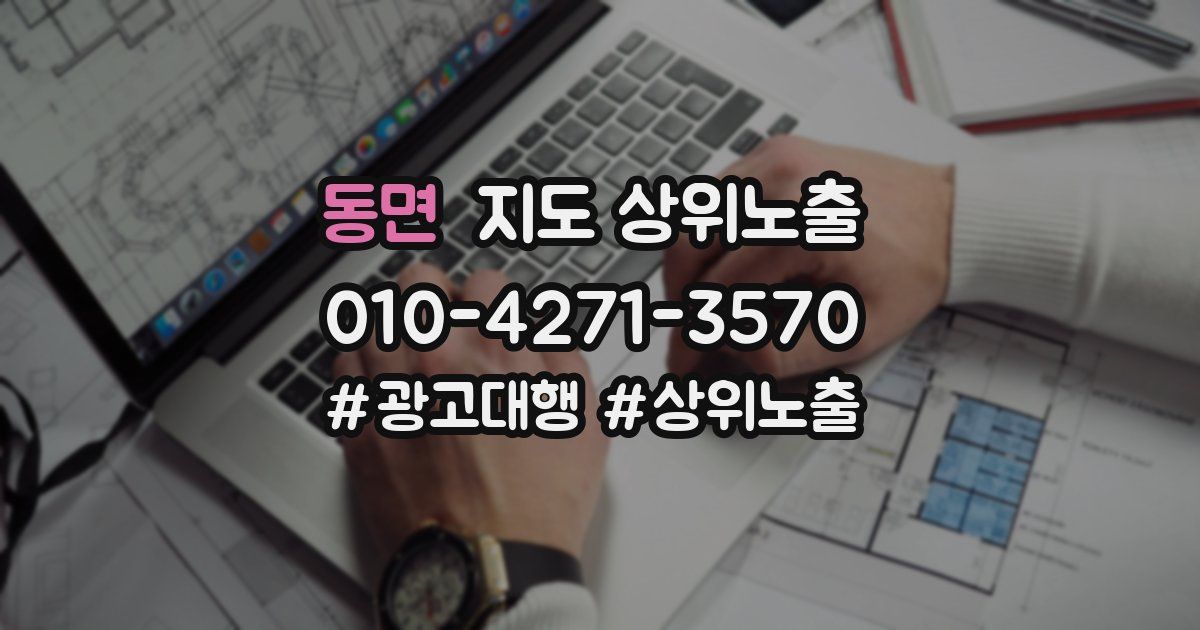 동면 지도 상위 노출