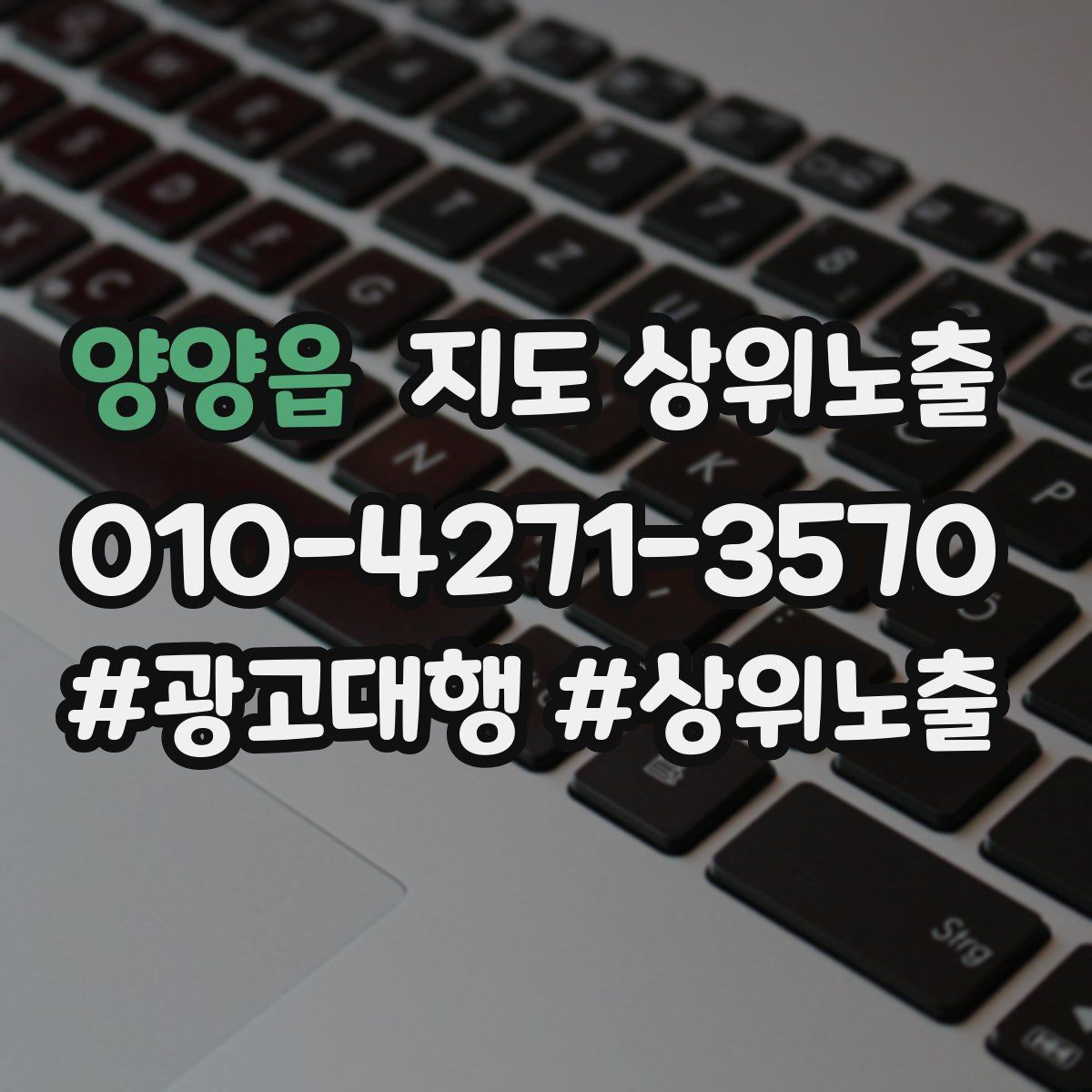 양양읍 지도 상위 노출