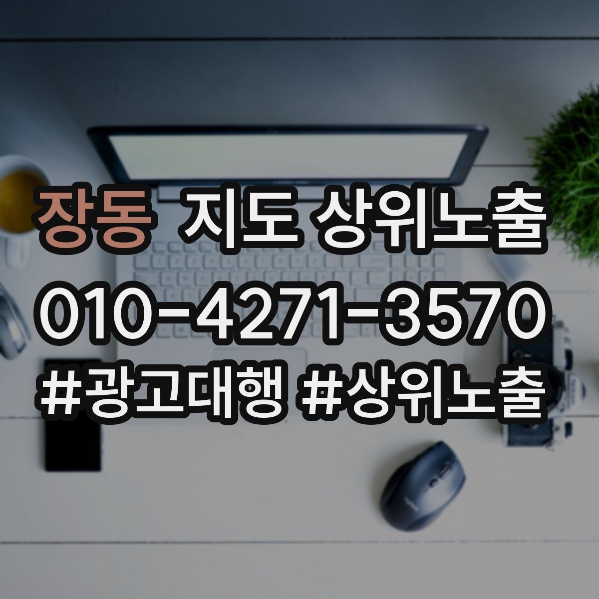 장동 지도 상위 노출