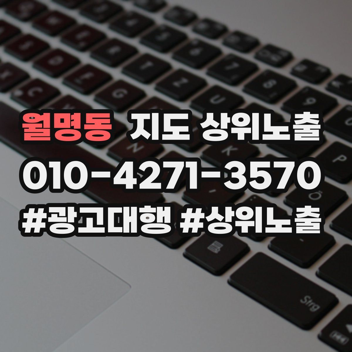 월명동 지도 상위 노출