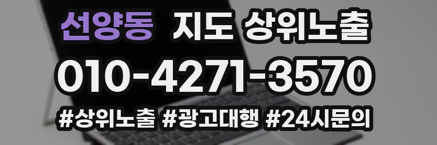 선양동 지도 상위 노출
