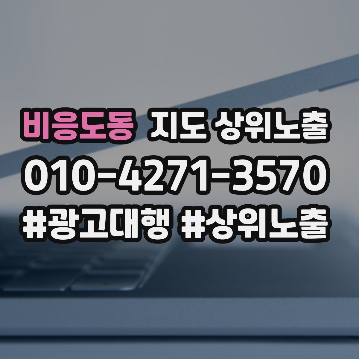 비응도동 지도 상위 노출