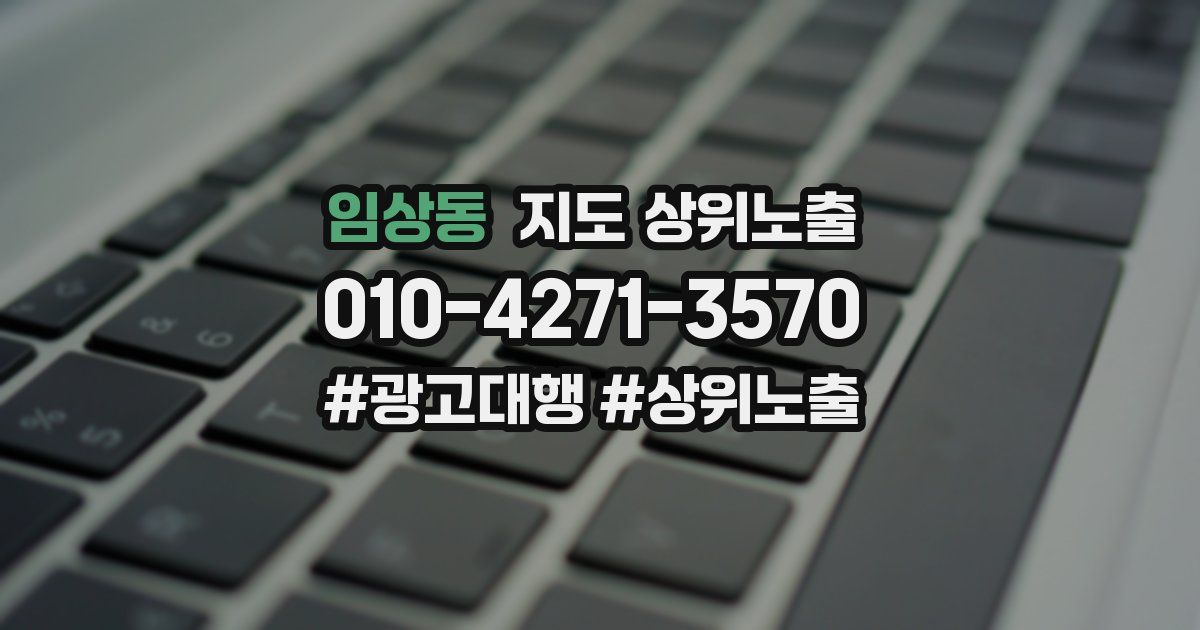 임상동 지도 상위 노출