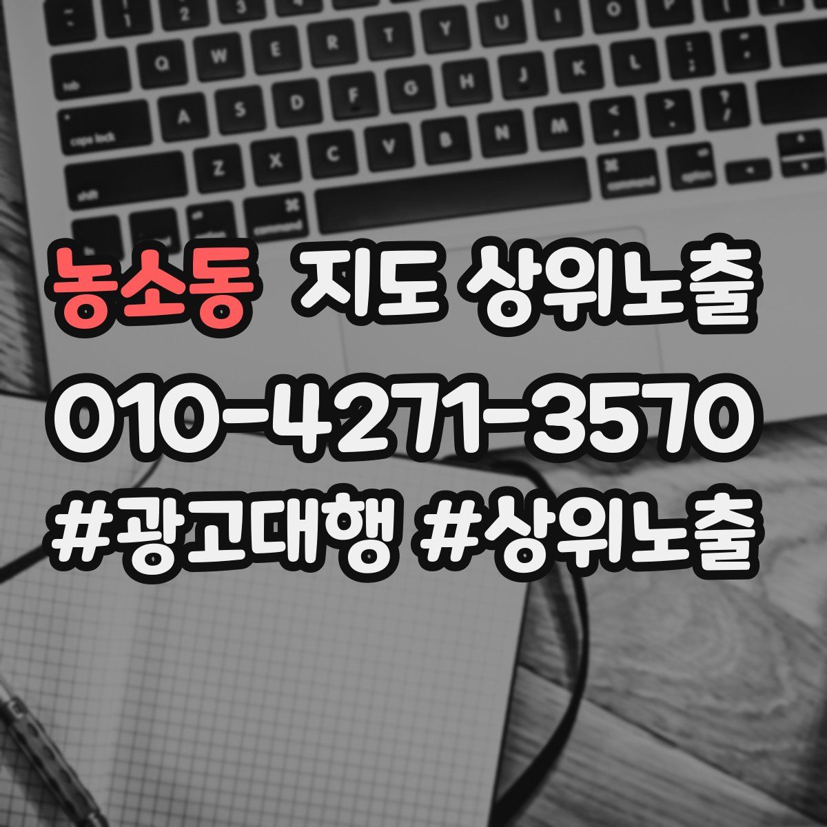 농소동 지도 상위 노출