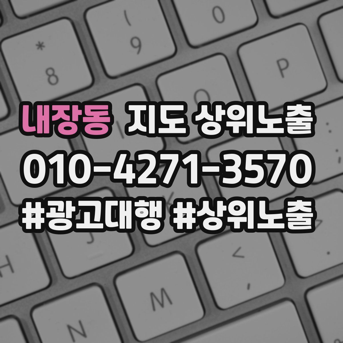 내장동 지도 상위 노출