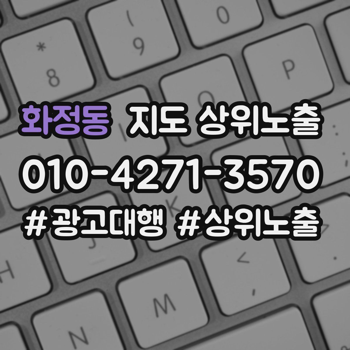 화정동 지도 상위 노출