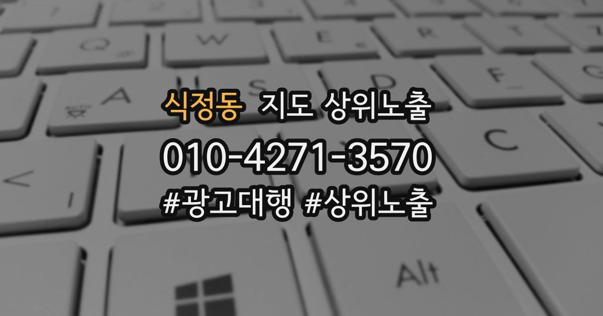 식정동 지도 상위 노출