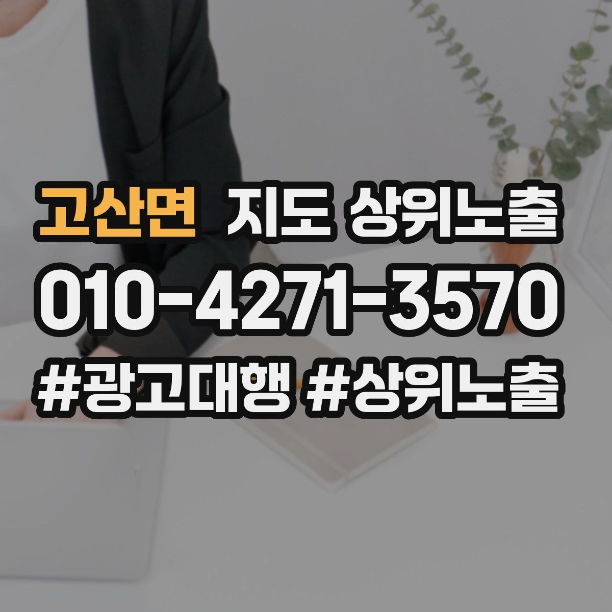 고산면 지도 상위 노출