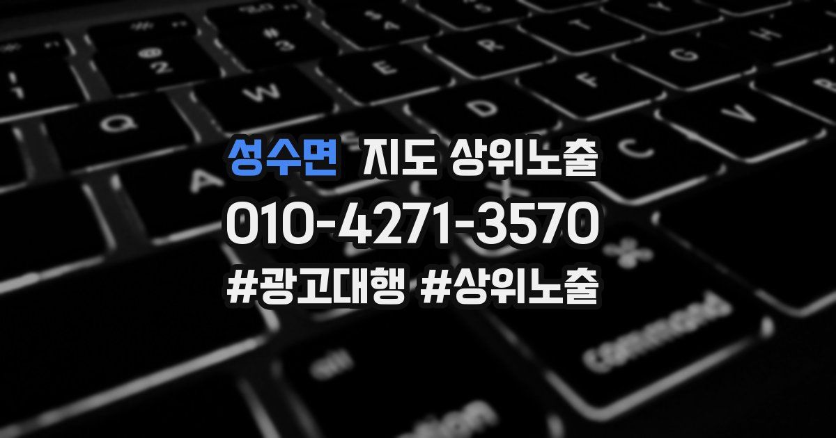 성수면 지도 상위 노출