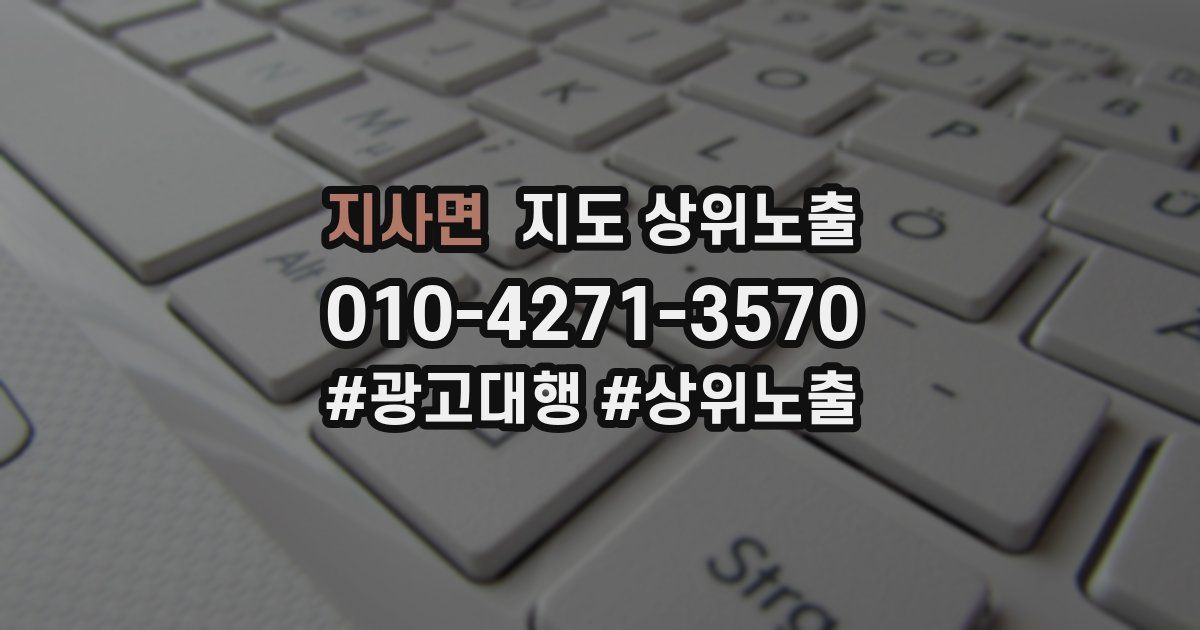 지사면 지도 상위 노출