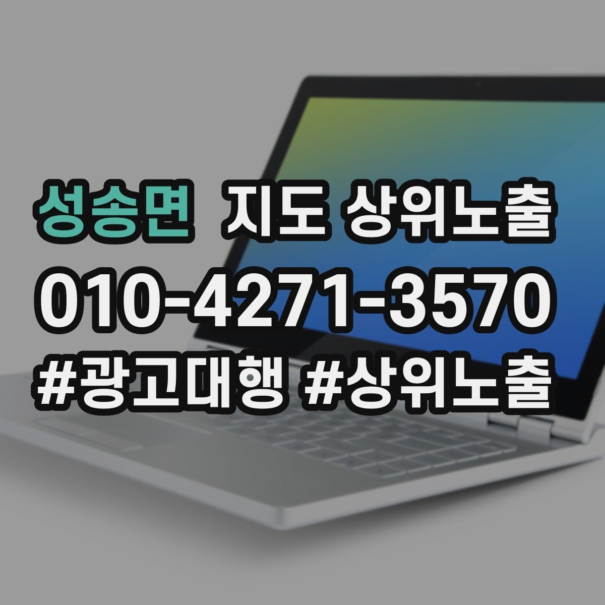 성송면 지도 상위노출 등록 후 점검해야 할 내용