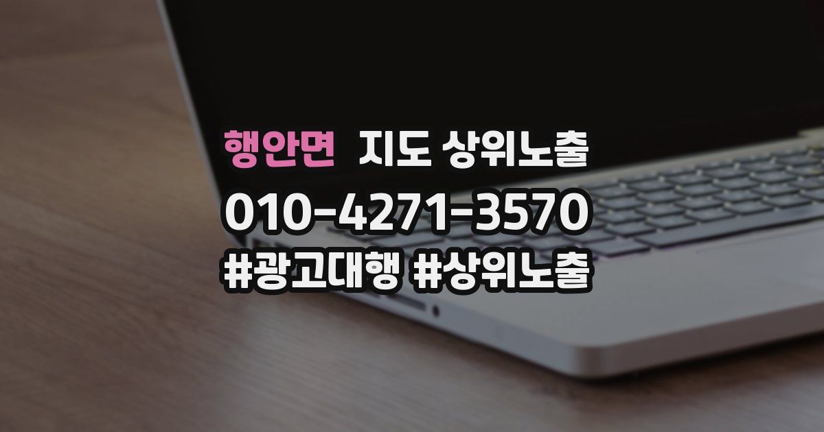 행안면 지도 상위 노출
