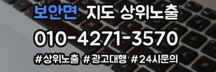 보안면 지도 상위 노출