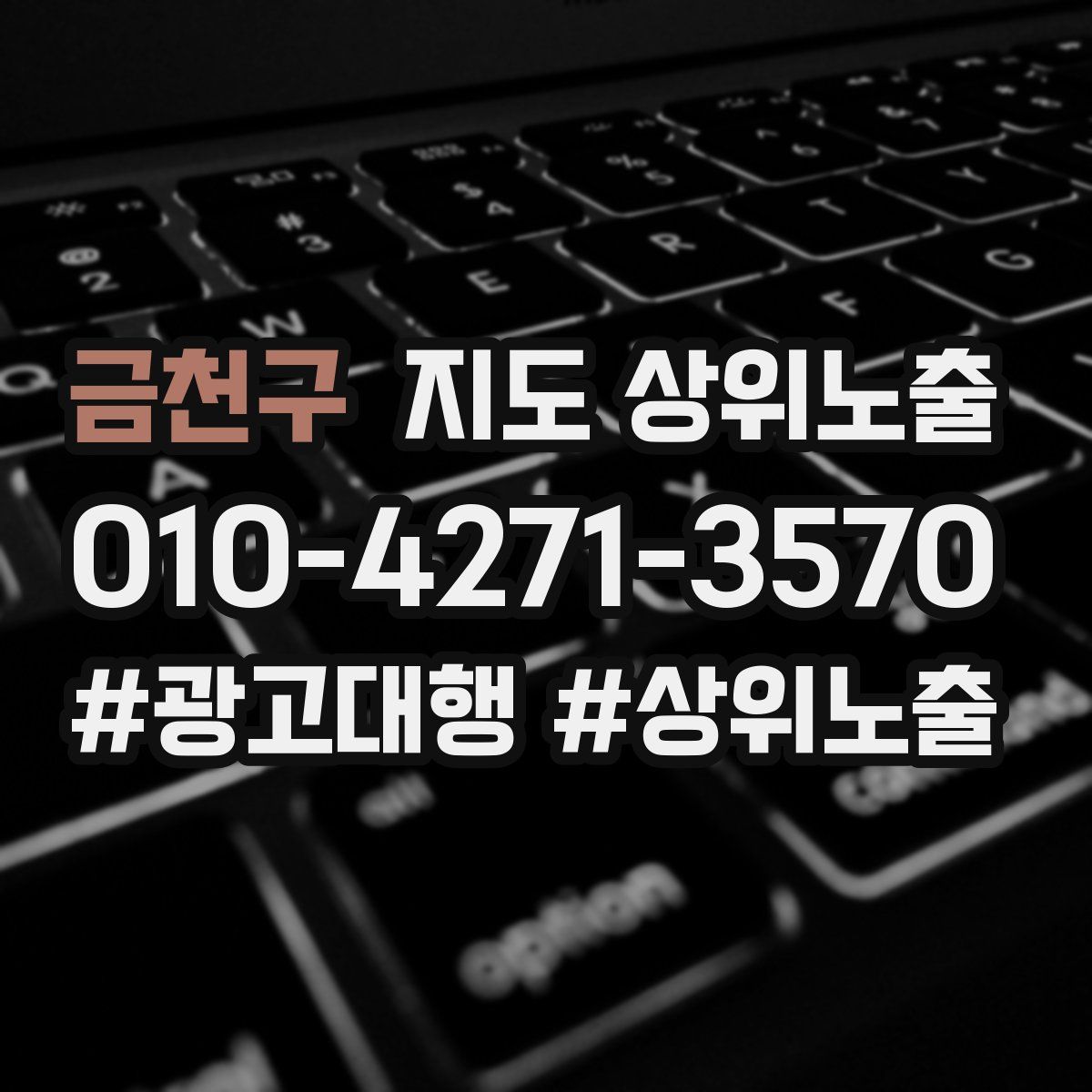 금천구 지도 상위 노출