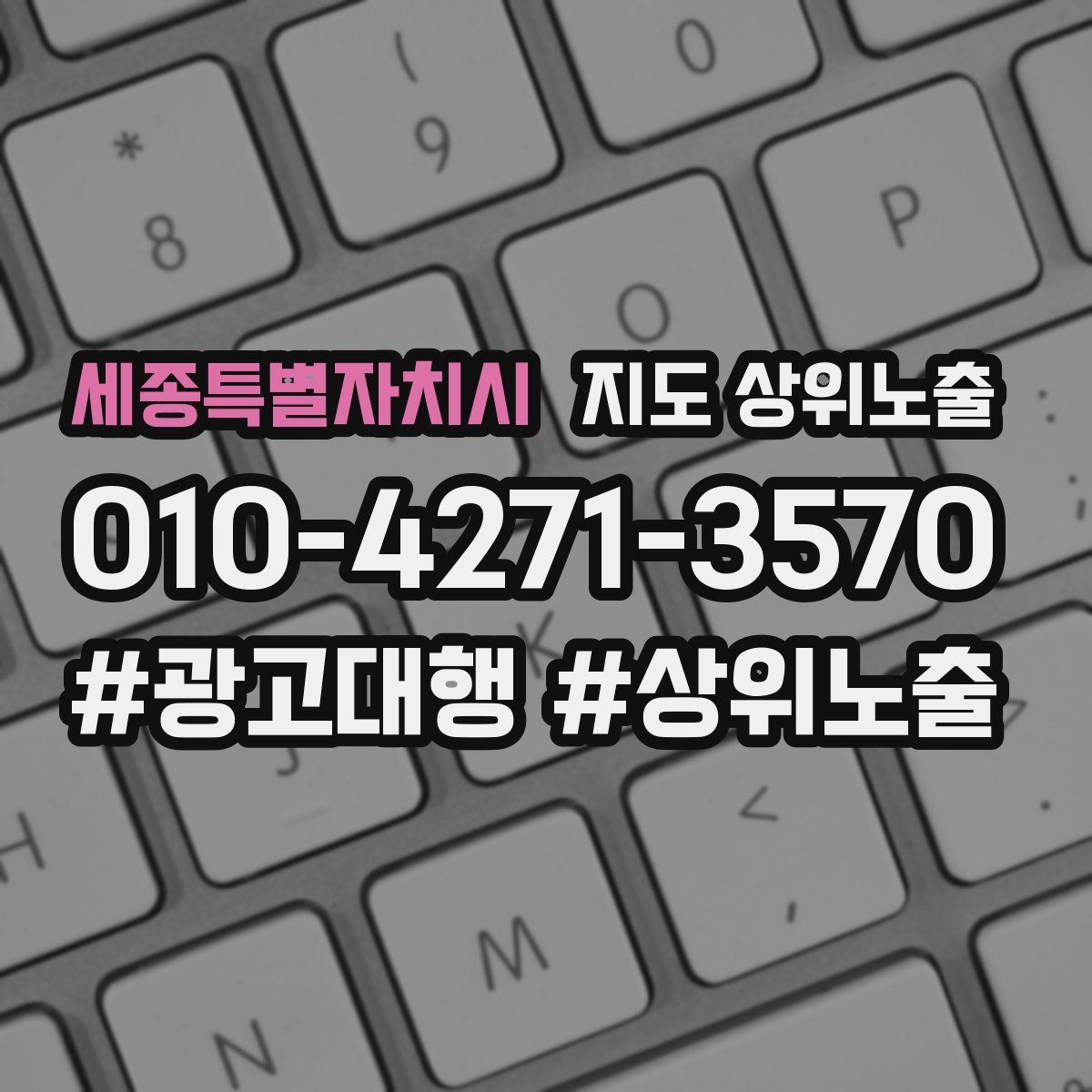 세종특별자치시 지도 상위 노출